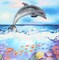DIAMOND ART BY LEISURE ARTS Dolphin, 12"x12", Intermediate Diamond Painting Kits for Adults, Diamond Art for Adults, Diamond Art Kit, Diamond Art Painting